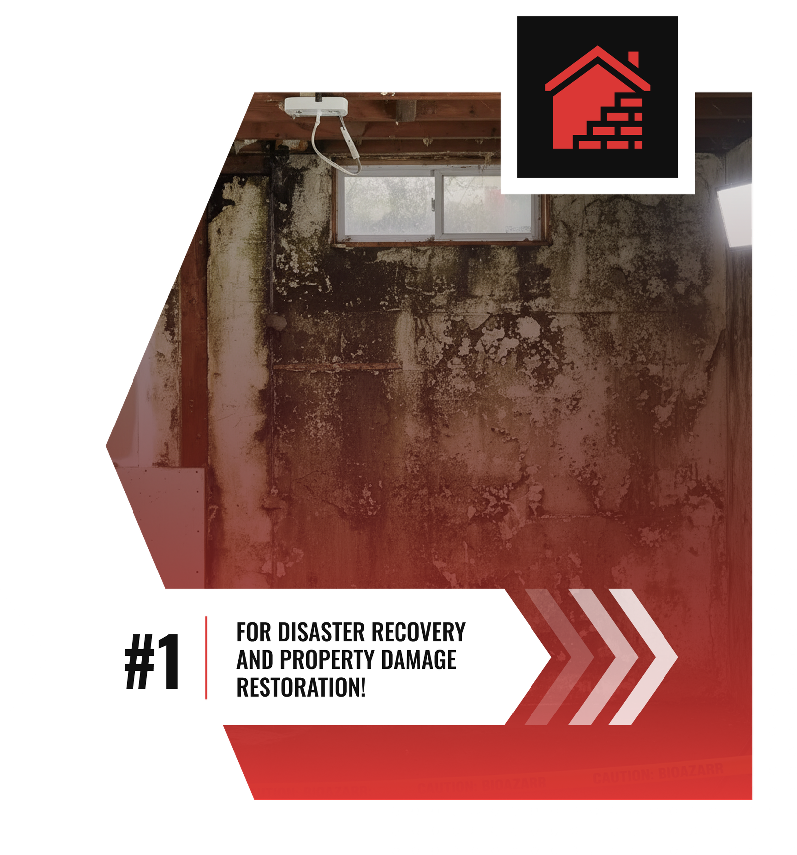A damaged basement wall with mold and water stains is shown. Text reads: #1 for property restoration and disaster recovery in Charlotte! with a red house icon in the top right corner. Trust Divine Restoration Group for expert service.